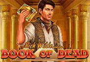 Book of Dead slot