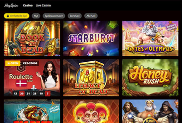 Forhåndsvisning hjemmeside HeySpin