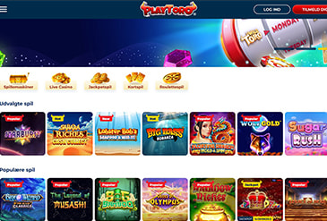 Forhåndsvisning hjemmeside PlayToro