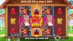 The Dog House i SlotsMagic