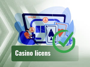 25 spørgsmål, du skal stille om Stake Casino